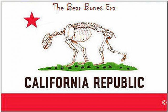 CA Flag Bear Bones—WP | Venturans for Responsible and Efficient Government